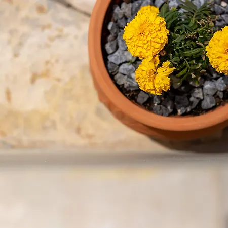 Aparthotel Aphrodite