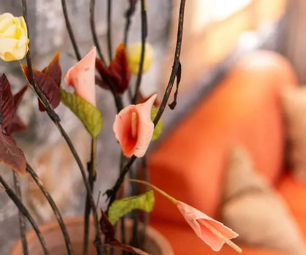 Aphrodite Appart hôtel 3*