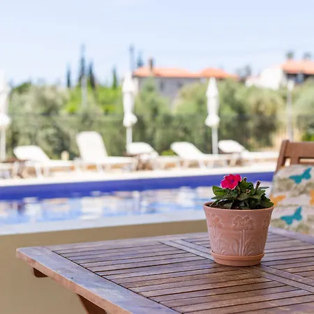 Aphrodite Lejlighedshotel