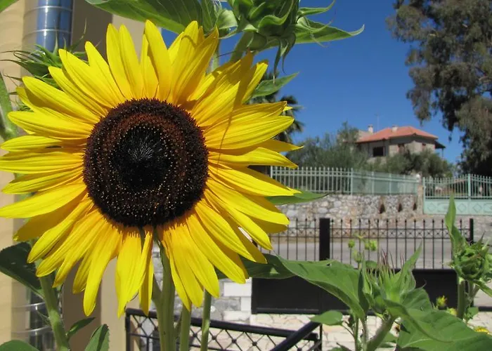 Aphrodite 3* Stoúpa