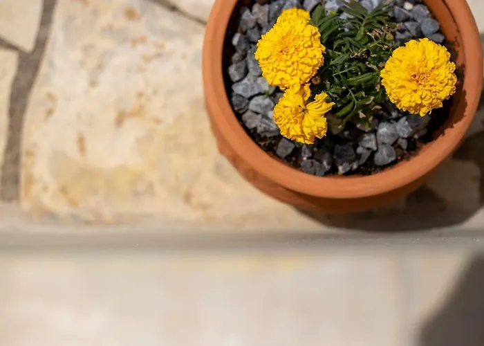 Lägenhetshotell Aphrodite 3*